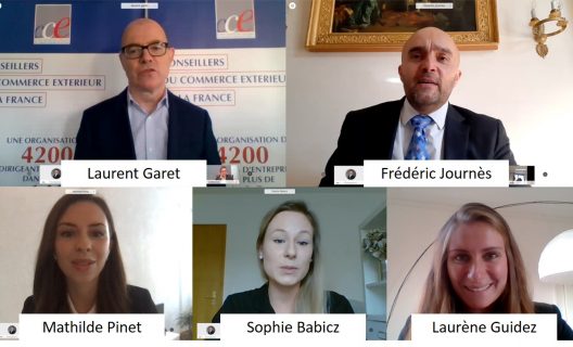 Le Volontariat International en Entreprise (V.I.E) en Suisse 6